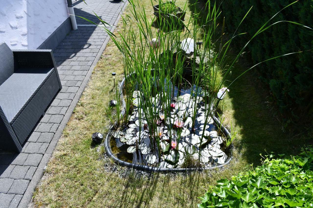 Ferienwohnung Bellerbergblick Ettringen  외부 사진
